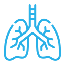 Respiratory Treatment - Homeopathy Doctor in Dhunela, Sohna, Gurgaon